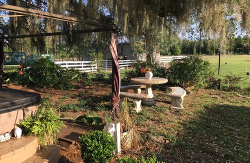 Live Oak House | Glamping Treehouse on Farm, Unique Experience!
