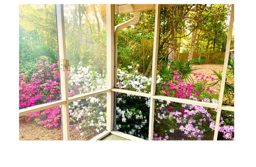 Saint Simons Island House | Golf retreat; 3/2.5, crib, mid island neighborhood across from Sea Palms Golf!