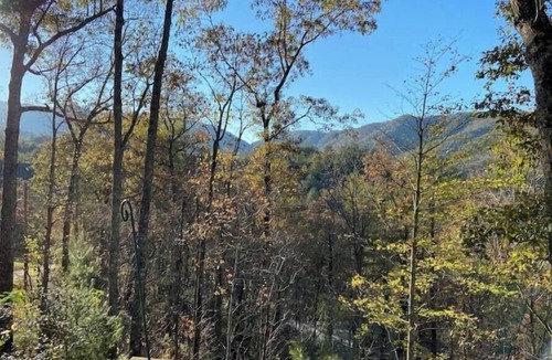 Robbinsville Cabin | Hala Hideaway - for nature lovers of all types!