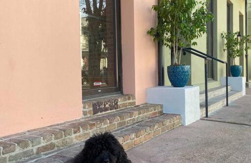 Lower Garden District Apartment | Historic Garden District 5BR with Parking and Balcony