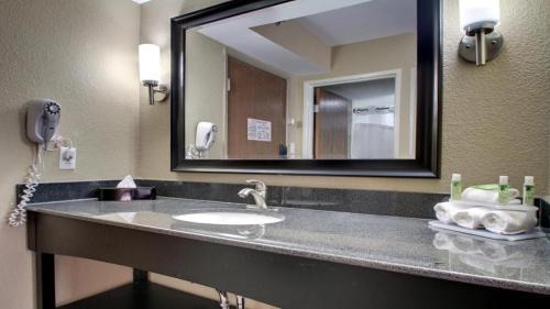 Jackson Apartment | King Bed Hotel Room 155