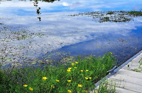 Donalsonville House | Lake Cottage, Only 1 mile to boat ramps & Big Jims Oyster Bar. On paved road.