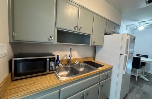 South Eola Condo | Lake Eola view 1 bedroom Thornton Park