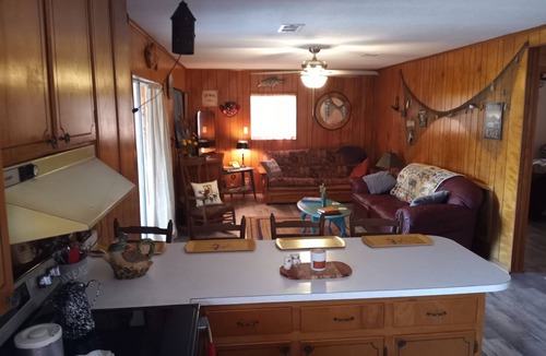 Mount Pleasant Cottage | Lake Seminole Cabin on Spring Creek Channel - Covered Dock