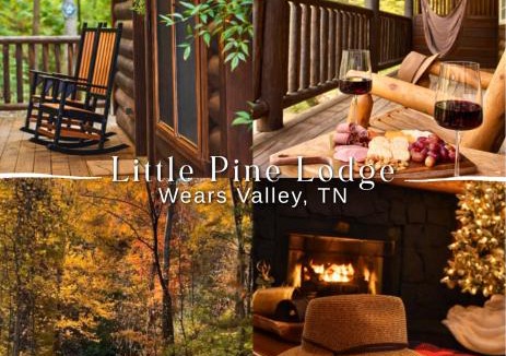 Wears Valley House | Little Pine Lodge a Smokies Hideaway - 1 mi to GSMNP - King Suite & Loft, Fireplace, Hot Tub & BEARS!