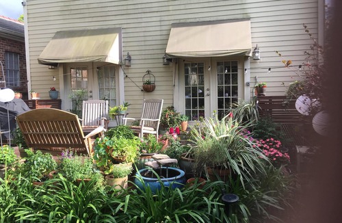 Uptown Historic District House | Lovely uptown camelback available; two bedrooms on private floor.