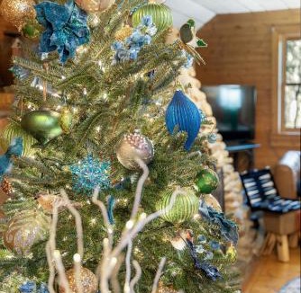 Highlands House | Magical Cabin near Main St Waterfalls Hikes