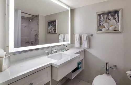 French Quarter Hotel | Make Your Trip More Enjoyable! 3 Classy Units, Pets Allowed, Outdoor Pool!