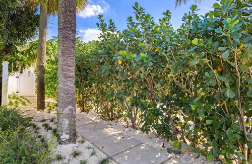 Melaleuca Gardens Apartment | Mango House Dania Beach