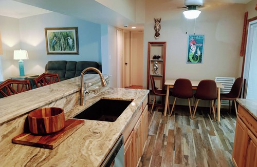 Port Charlotte House | Mid Century Modern with resort style lanai with Salt Water pool & new Jacuzzi