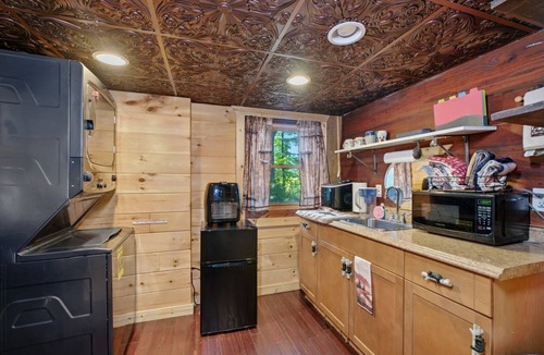 Ranger Cabin | Million Dollar Mountain View at Bear Den studio!