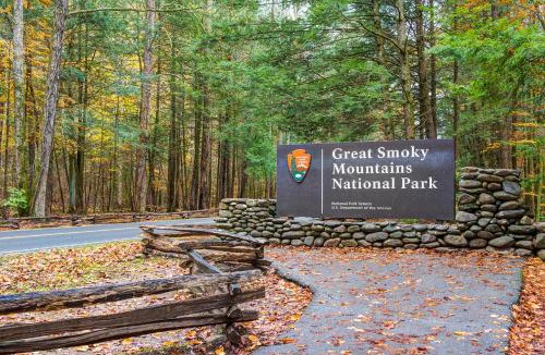 Rocky Grove House | Mount Cammerer - Unit 4