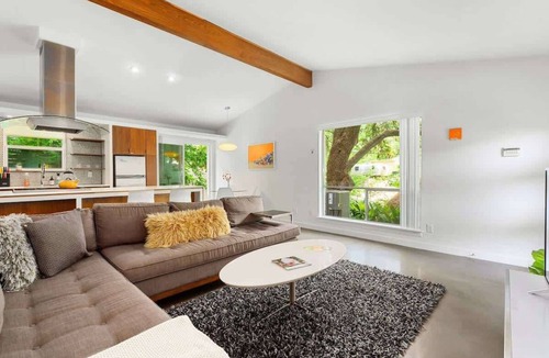 South River City House | Orange Crush | SoCo Mid-Century Pet Retreat