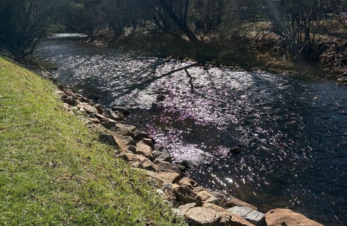 Bryson City RV Rental | Peaceful campsite retreat in charming Bryson City perfect for nature lovers
