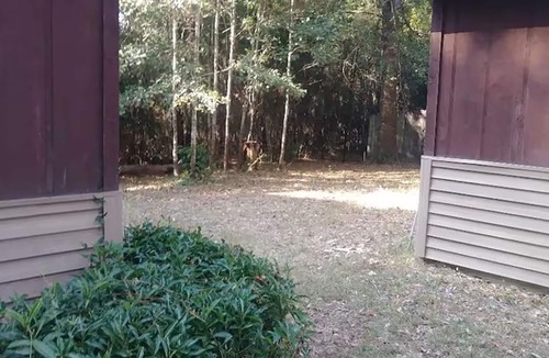 Diamondhead House | Peaceful Diamondhead Escape w/Fireplace
