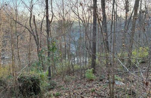Somerset House | Peaceful Somerset Getaway on Lake Cumberland
