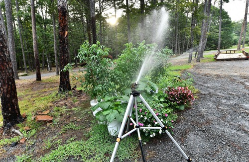 Clinton RV Rental | Private Ozark Mountain Retreat RV Lot for Rent!