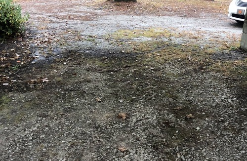 Salem RV Rental | Private RV Camping spot with plenty of room to stretch. Intimate and private.