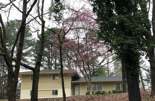 University Hills House | Quiet Home less than a mile from Vaught Hemingway