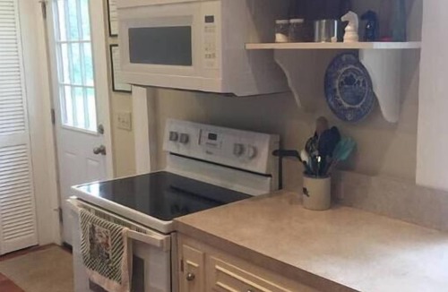 Rochelle House | Quiet Wilcox County Retreat-Long Leaf Pine Lodge