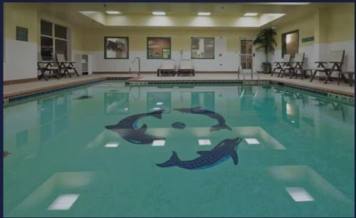 Bessemer Hotel | Red Roof Inn PLUS & Suites Birmingham - Bessemer