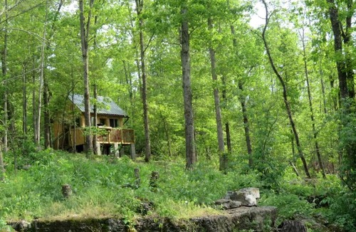 Hartshorn Cabin | Rustic Cabin Rental with Stunning Forest Views in the Ozarks, Missouri