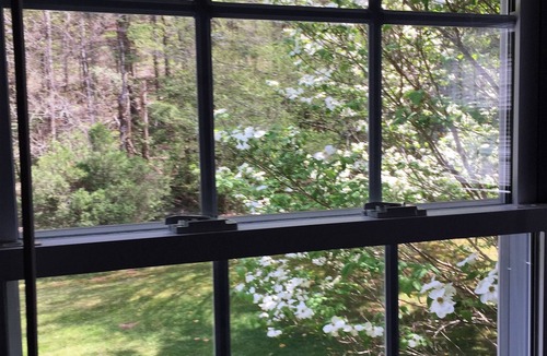 Vonore Cottage | Secluded Mountain Retreat on 200+ Acres: Private Hiking Trails & Pure Nature