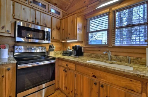 Necowa Cove Cabin | Sharin-A-Lakeview | $250 Off Your Stay!