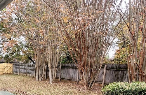 Huntsville House | Spacious 3bd with king, 2 living areas and fenced yard