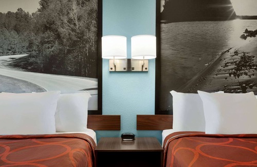Olive Branch Hotel | Super 8 by Wyndham Olive Branch