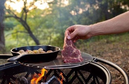 Holly Springs Other | Tentrr State Park Site - Mississippi Wall Doxey State Park - Woodland G - Single Camp