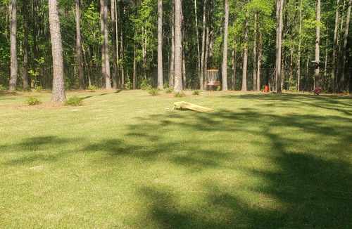 Notasulga Cabin | The Griinch- Cozy Tiny House 9 Miles to AUBURN AL & Jordan Hare Stadium