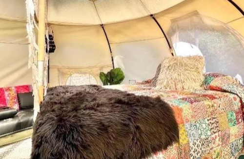 Rogersville Other | The Pisces-a stargazing, luxury glamping tent