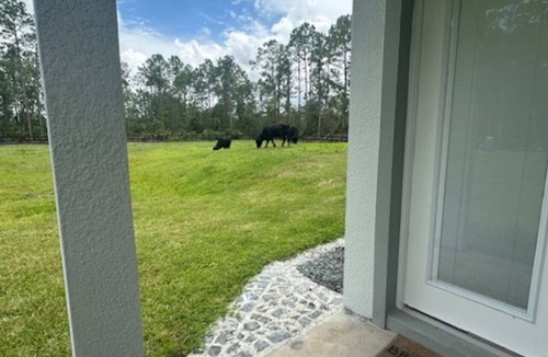 Ormond Beach House | The Sunshine Shack RV at Red Barn Acres