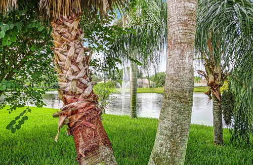 Sunridge Woods House | The Ultimate Florida Vacation Home