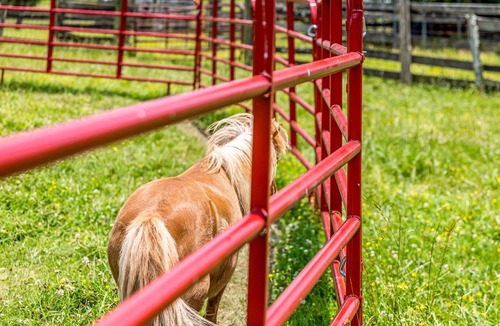 Lookout Valley Neighborhood Association RV Rental | Tranquil Farm Yurt - Mountain View