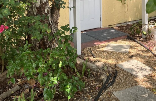 Flamingo Parks Cottage | 🌴Tropical Cottage, in the lovely Palm Beach Historic District LOCATION!