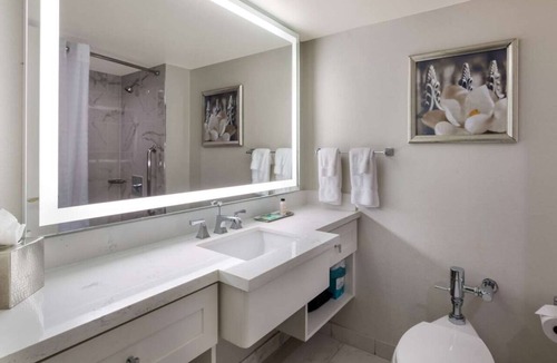 French Quarter Hotel | Vacation Day Is Always A Great Idea! Near Jackson Square. Pets Allowed