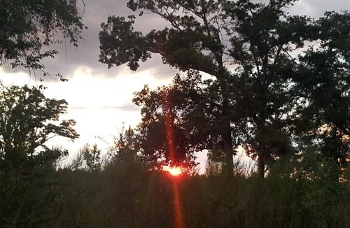 Donalsonville Apartment | Very Nice Studio Apt Downtown