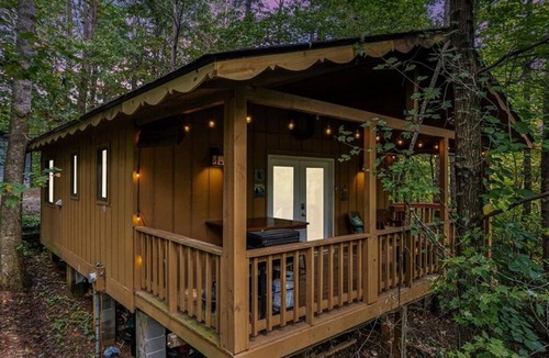 Sautee Nacoochee Cabin | Wildflower