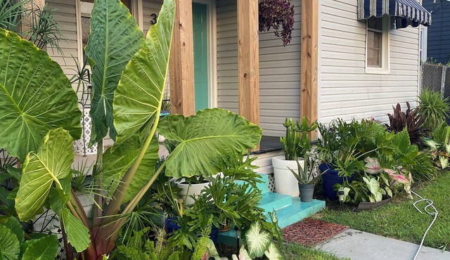 2 bed/1 bath in Quiet New Orleans Neighborhood