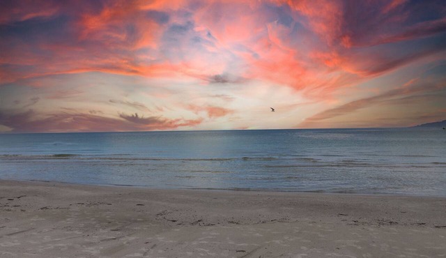 2 Bed, 2 Bath, 1 minute walk to the sand!