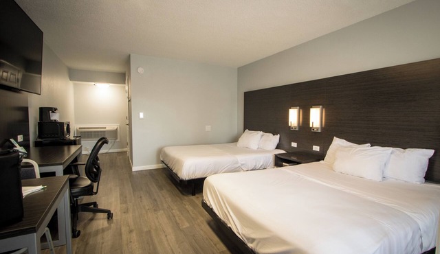 2 Queen Accessible NS Pet-Friendly