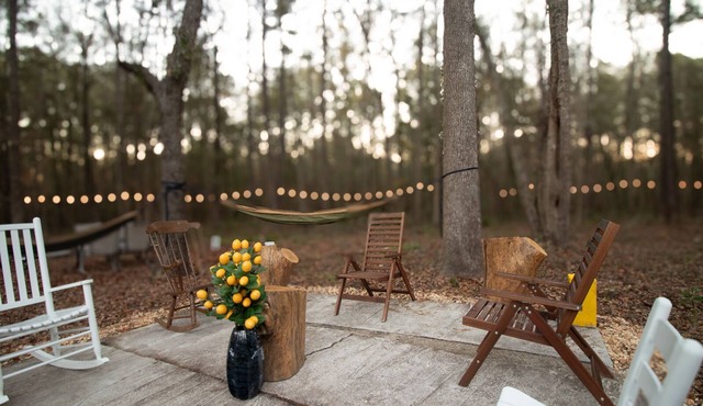 3/2 UF 5-Acre Wooded Paradise Retreat - Family-Friendly!