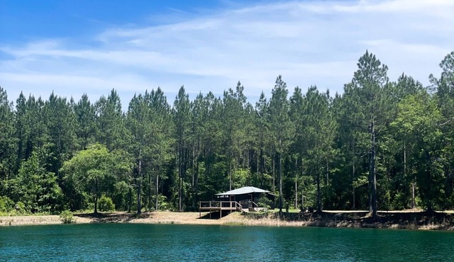 81 Pines-The Cabin