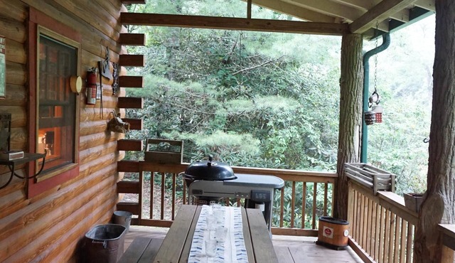 Authentic Highlands Log Cabin with Dock, Canoe + Fire Pit
