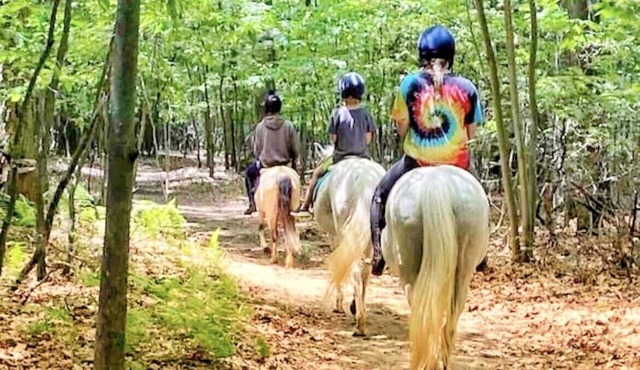 Authentic working horse farm stay! Quiet, rural, and close to nature!
