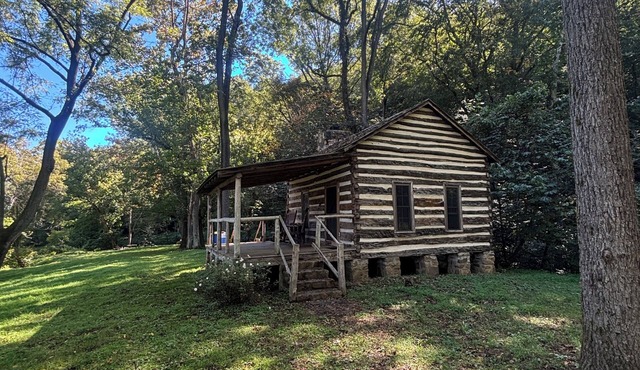 Back in Time! River Log Cabin-Off Grid