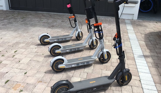 Big Chill 30A | Scooters | Pool | Nearby Beaches!