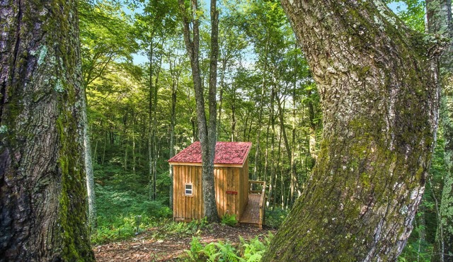 Blue Ridge Parkway/Off-Grid Campground/Two Cabins